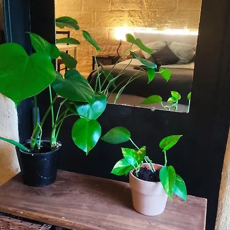 Et Jardin Au Coeur Des Vignes - 1 A 4 Pers -